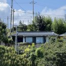 월소정34 이미지