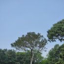 간산고택 이미지