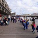 달링 하버(Darling Harbour) 이미지