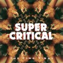 팅팅스(ting tings)