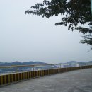 용정탕 이미지