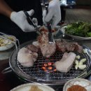 제주돈돼지 이미지