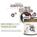 비피바이오