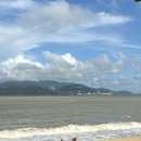 돌체당구장 | 24일, 셀렉텀 노아 그리고 나트랑의 마지막 날