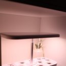 스마트팜 | 오늘식물 가정용 식물재배기 스마트팜 사용 후기 (3) : 4~7주차