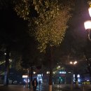 중경한방병원 | 나의 4박5일 충칭 여행기 ..