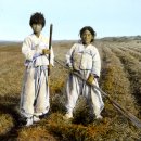 추억속에 보리밥 이미지