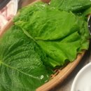 저팔계소곱생 이미지
