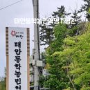 동학농민혁명기념관 | [태안 여행] 태안 동학농민혁명기념관과 태안읍성