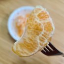 창주농장 이미지