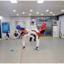 월산태권도 이미지
