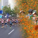 스타클라우드 이미지