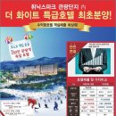 휘닉스파크관광단지 이미지