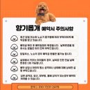 향기롭개 이미지