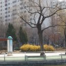 부천중앙공원 이미지