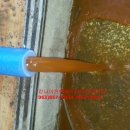 어양쌍용 이미지