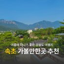 속초 가볼만한곳 추천 여행 코스 | 속초시립박물관 속초 야경 명소 BEST 3 &amp; 2026 실향민 문화축제 후기