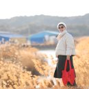 회령성