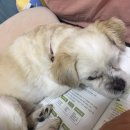 윤정희농장 | 쾌쾌묵은 쩡아 일상