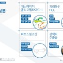 에스에이치메디칼 이미지