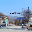 서현중앙길 Daum카페