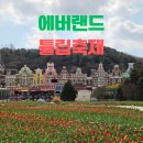(주)두바퀴소프트 | 에버랜드 튤립축제 아기랑 다녀온 후기/기본정보/퍼레이드/정문유료주차장/내돈내산/솔직후기