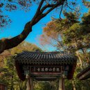 고산사 아미타불화 | 동방제일선원 덕숭총림 수덕사
