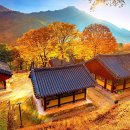 &#34;불국사만큼 아름다운데, 잘 몰라요&#34;... 트레킹 마니아만 알고 간다는 가을 단풍 트레킹 코스 이미지