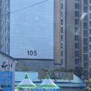 킹콩강릉점
