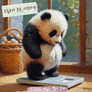 티그레