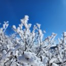 주식회사 브레인씨크릿 이미지