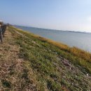 무안영산 이미지