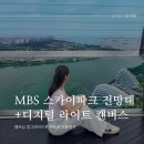 스카이디지탈 | 여행] 마리나베이샌즈 스카이파크 전망대+디지털 라이트 캔버스 후기(투숙객 아니여도 무료로 전망대...