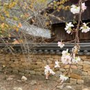 (기획투어)체험순천 | 순천시티투어 버스 예약방법 가격 여행코스 이용꿀팁