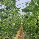 충남대학교농업생명과학대학 동물자원연구센터 | 2026년국제가축유전자원신규등재후보모집 / 농촌...농촌진흥청,미래농업연구인재찾기대학순회설명회