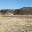 태양부동산중개사무소 이미지