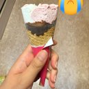 은서네 집밥 | [독일교환_EP.5] 기말 망하면 논패 당하는 독일 시험기간인데 공부를 안하는 사람의 집밥 일기