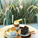 한국지엠세종바로서비스 | 세종 예쁜 카페 디저트 맛집 우드커피