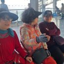 일죽중학교 이미지