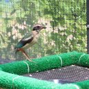 광주광역시야생동물구조관리센터 이미지