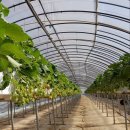 아람농장1 이미지