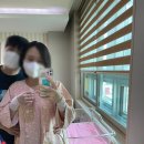 신지초교입구 ~ 가야1차아파트 입구 | 리엘 산후조리원 후기 : 모자동실, 가격, 식사, 마사지, 스위트룸, 대구 산후조리원 추천