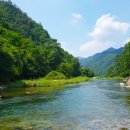 내리금봉캠핑장 이미지