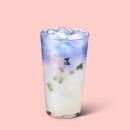 스프링가든 이미지