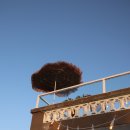 어웨일카페펍 이미지