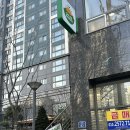 부산 연산동 포케 샐러드정기배송 추천 샐러드바스켓 시청점 혼밥 후기