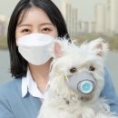 로얄동물메디컬센터 본원 이미지