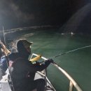 갈매기1호 이미지