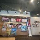 공차인천서 이미지