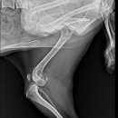 대현동물병원 이미지